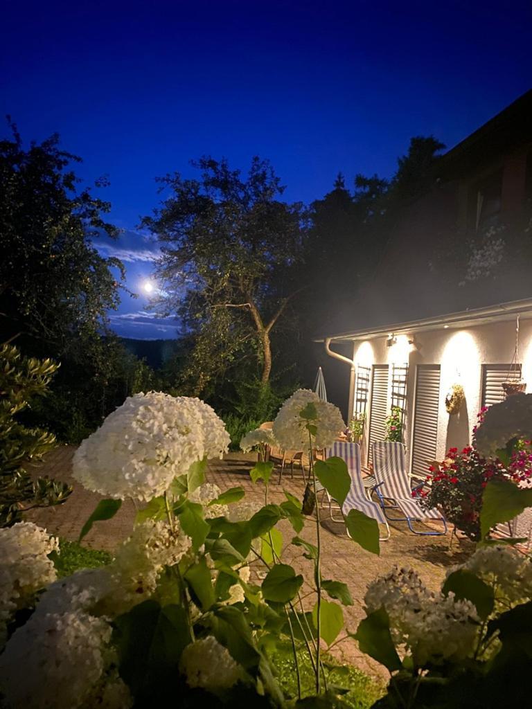 Ferienwohnungen Elsterblick バート・エルスター エクステリア 写真
